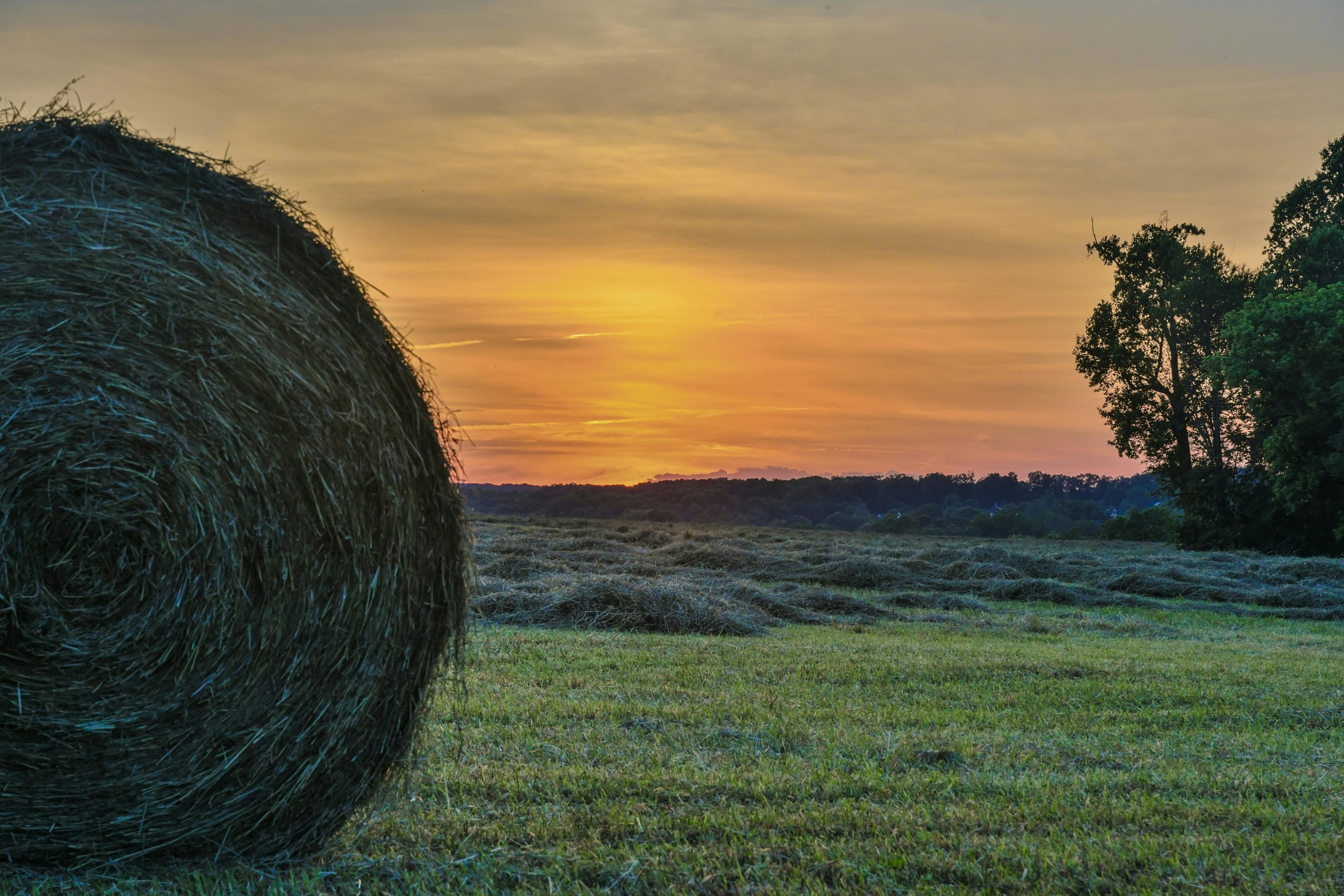Best places to live in Maryland