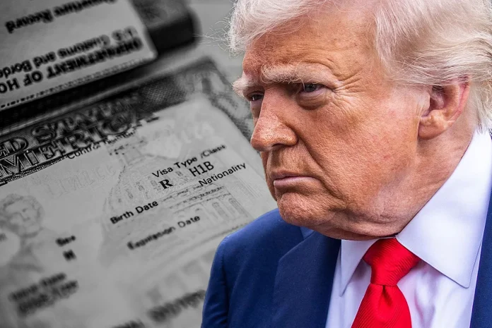 Insider Times Delivers National News, Texas Answers Local Truth
