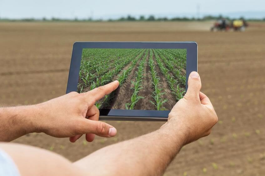 Predictive Analytics for Yield Forecasting—Machine Learning Models Predicting Harvest Volume and Market Pricing